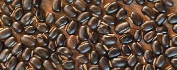 Image result for Mucuna poggei