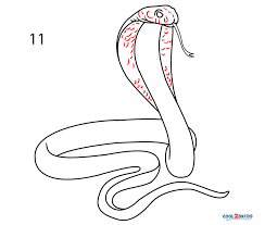 Snake drawing, snakes, animals, vertebrate, monochrome png. How To Draw A Snake Step By Step Pictures