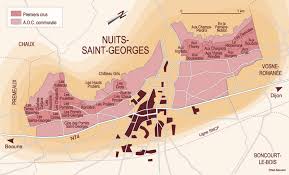 Nuits Saint Georges Burgundy France Wine Winetour Winetravel Winetour4u Gmail Com Nuit Saint Georges Vin De France Vins Et Spiritueux