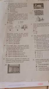 25 Bandingkan Gambar Di Bawah Ini Manakah Yang Merupakan Media Dalammenggambar Flora Dan Fauna Brainly Co Id