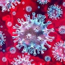 Karaciger Kistleri Nedir Nasil Olusur Medicana Saglik Grubu