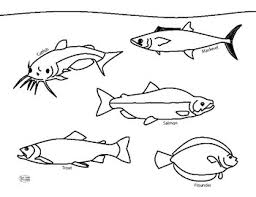 In this site you will find a lot of fish coloring page in many kind of pictures. Fish Coloring Page By Our Time To Learn Teachers Pay Teachers