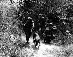 New Memorial Dedicated To Vietnam War Dogs And Their Handlers In 2020 Vietnam War War Dogs Vietnam