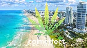 Seriously how can you know to ask this question on quora but completely unable to do a search on. Medical Marijuana Conditions For Florida Calmeffect Com