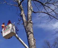 May 26, 2021 · martin marty d. 1st Choice Tree Service Home Facebook