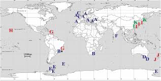 Het dier komt uit het geslacht lucernariopsis en behoort tot de familie kishinouyeidae. Lucernariopsis Capensis Carlgren 1938 Plazi Treatmentbank