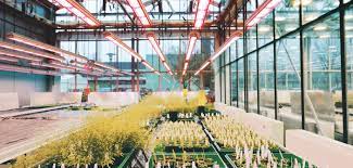 Are they worth the money? New Led Grow Light Technology To Boost Crop Production Food And Farming Technology
