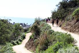 For an easy hike with the most pawsome views of ventura county, head over to the ventura botanical gardens demonstration trail! Ventura Botanical Gardens Ventura Ca California Beaches