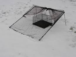 Moudrytraps Raptor Traps Rajce Net Kus Kafesi