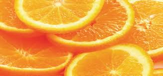 Are oranges good or bad for dogs? Can Dogs Eat Oranges Modern Dog Magazine