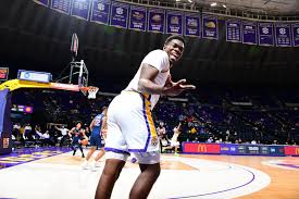 Official facebook page for lsu men's basketball. Darius Days 2020 21 Men S Basketball Lsu Tigers