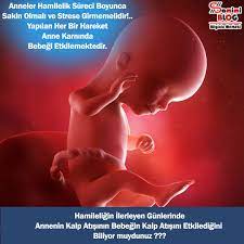 hamilelik surecinde sakin kalin