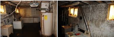 Basement mold can be a serious problem. How To Get Rid Of And Prevent Mold Growth On Concrete Environix