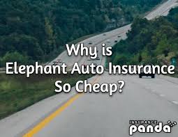 Elephant is known for car insurance in the u.s., but also offers homeowners, renters, condo, motorcycle, life, and umbrella insurance products. Why Is Elephant Auto Insurance So Cheap Elephant Insurance Review