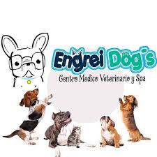 EngreiDog'S Centro Médico Veterinario