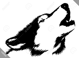 Wolf howling sketch on black paper black paper drawing wolf sketch black paper open the photo with dog/wolf teeth and cut the parts you. Black And White Linear Paint Draw Wolf Illustration Royalty Free Cliparts Vectors And Stock Illustration Image 59716590