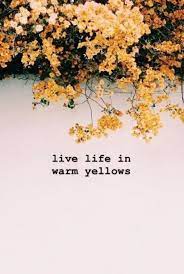 Twitter Aesthetic Yellow Words Quotes Yellow Roses Outdoor Caption For Flowers Flower Captions For Instagram Good Instagram Captions