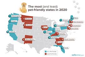 We did not find results for: The Most Pet Friendly States In America Safewise