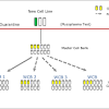 Unsere auszeichnungen im bankentest 2020 durch die gesellschaft für qualitätsprüfung mbh. Https Encrypted Tbn0 Gstatic Com Images Q Tbn And9gctzxnsbxeiroazwwu3znpubk P6xgvfk1mee Gjytbsrql8tiux Usqp Cau