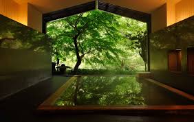 (～町) hakone (a town in kanagawa prefecture, japan). ç•Œç®±æ ¹ æ˜Ÿé‡Žé›†å›¢ å®˜ç½'