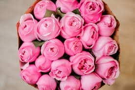 اجمل بوكيه ورد طبيعي خلفيات ورد طبيعي Zina Blog In 2021 Rose Plants Flowers