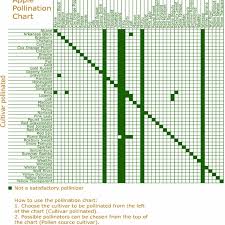 Select a cultivar you are interested in growing from the left hand column. Apple Pollination Synchronization Chart 40 Download Scientific Diagram