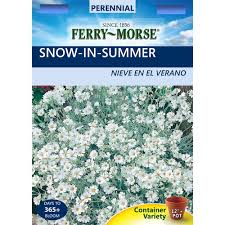 Check spelling or type a new query. 12 Ferry Morse Flower Seeds Packets Home Garden Candidfu Vegetable Seeds