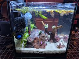 How to set up a betta fish tank. New Planted Tank For My Betta Album On Imgur