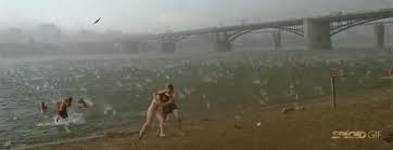 Chuva de granizo gov celso ramos 26 09 09. 15 Gifs Que Mostram Como A Natureza Libera A Sua Ira Na Terra Natureza Fenomenos Naturais Gifs