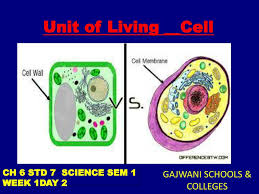 We did not find results for: Gajwani Schools Colleges Ppt Download