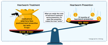 The heartworm hotline column is presented in partnership between today's veterinary practice and the american heartworm society (heartwormsociety.org).the goal of the column is to communicate practical and timely information on prevention, diagnosis, and treatment of heartworm disease, as well as highlight current topics related to heartworm research and findings in veterinary medicine. The Educated Client Understanding And Preventing Heartworm Disease