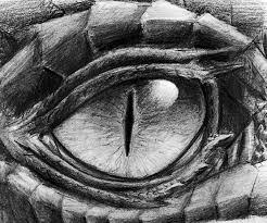 This time we will focus on how to draw a dragon step by step. How To Draw A Dragons Eye Novocom Top
