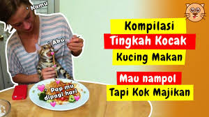 See more of meme lucu ngakak on facebook. Tahan Tawa Tingkah Kucing Lucu Kucing Lucu Banget Bikin Ngakak Meme Kucing Lucu 2021 Youtube