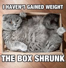 I don't own these clips.#bongocat #bongocatmeme #meme #memes #bongocatmemes20 minutes of the most fire. Cats And Boxes Memes