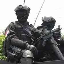 A collection of the top 21 kopassus wallpapers and backgrounds available for download for free. Military Personnel