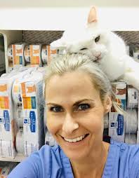 Find 26 pet care businesses near you! Veterinary Testominals In Solana Beach Ca Academy Animal Hospital