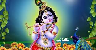 Krishna janmastami is the birthday of lord krishna. Shri Krishna Janmashtami 2021 Do Decorate Of Lord Krishna With This Things All Wishes Will Be Fulfilled News Unique