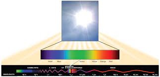 Reading Spectrums Of Light Biology I