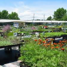 We did not find results for: Information On Annie S Annuals Perennials