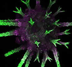 October in preprints