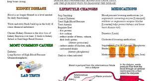 Chronic Kidney Disease Patient Education Handout Https Www Facebook Com Encouragement4nurses Ref Tn Tnmn Patient Education Medical Knowledge Dialysis Nurse