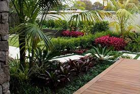 Auckland Garden Design Fest Tropical Garden Design Tropical Landscaping Tropical Garden