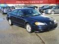 Image result for Navy Blue 2001 Pontiac