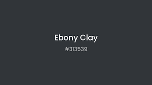 313539 Ebony Clay