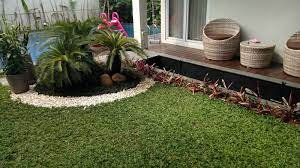 Rumput gajah mini saat ini sedang menjadi tren tersendiri di kalangan pecinta taman yang dikarenakan cara menanam yang cukup mudah dan juga cara merawatnya juga cukup mudah. Tukang Rumput Gajah Mini Bergaransi