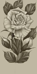 Pin By Antonio Jackson On эскизы | Rose Tattoos, Rose Drawing, Rose Drawing  Tattoo