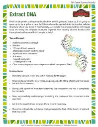 Extract Dna Printable Science Activities Transition Words Worksheet Dna Worksheet Transition Words And Phrases