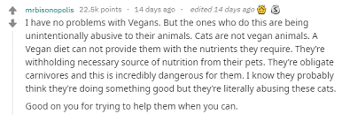There are two ways that you feed your cat the this article will discuss. A Neighbour Of Three Vegan Cats Secretly Feeds Them Salami In Viral Video Totally Vegan Buzz