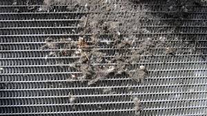 Check spelling or type a new query. 6 Symptoms Of A Clogged Or Bad Radiator And Replacement Cost