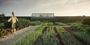 Kitchen Garden Tour and Lunch at The Pig, Harlyn Bay